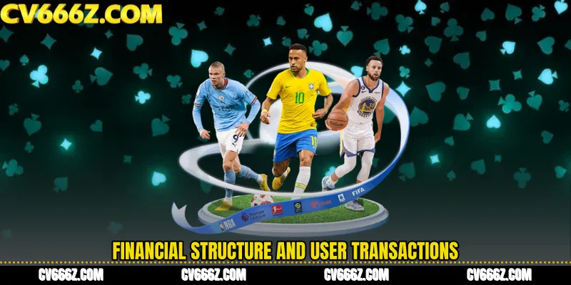 Financial Structure and User Transactions