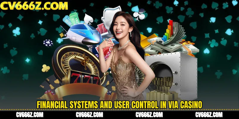 Financial Systems and User Control in VIA Casino