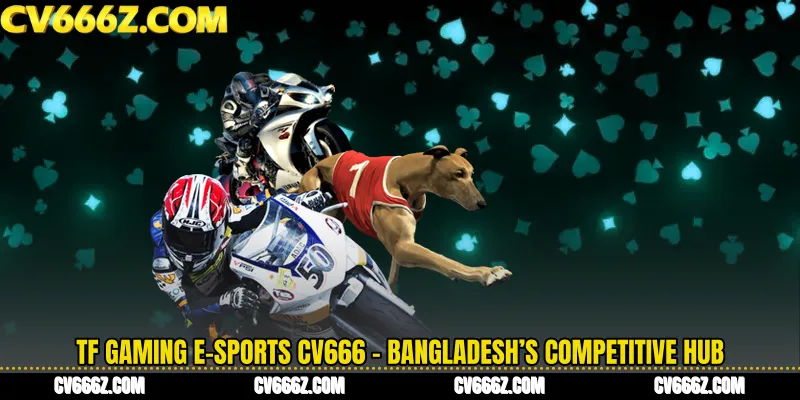TF Gaming E-Sports CV666 - Bangladesh’s Competitive Hub