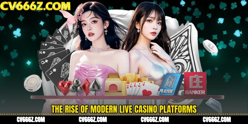 The Rise of Modern Live Casino Platforms